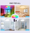 Lampara Inteligente de Techo WiFi Tera TR-LMP-16CL-RGB Color Blanco