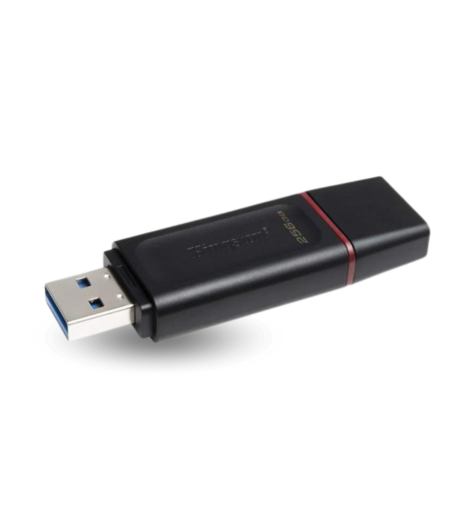 Memoria USB Kingston DTXS/256GB 256GB USB3.2 DataTraveler Exodia S Color Negro