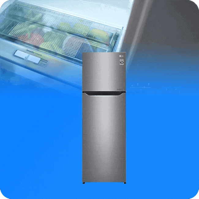 Refrigerador LG No Frost 10 Pies³ Top Freezer Smart Inverter Smart Diagnosis Color Plateado