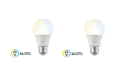 Nexxt Solutions Connectivity - Light Bulb - A19 CCT 110V 2PK - Conexion Wi-Fi - Bombillo de luz blanca regulable - Compatible con Amazon Alexa y Google Assistant - 800 Lumen - 9W (Equivalente a 60 W) - 110 V /220 V