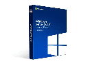 Microsoft Windows Server 2019 Standard Edition - Licencia - 16 núcleos - OEM - ROK - DVD - Microsoft Certificate of Authenticity (COA) - Español - EMEA, Americas